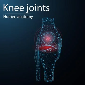Human bone anatomy organ translucent low poly triangle futuristic glowing. On Stock Illustration