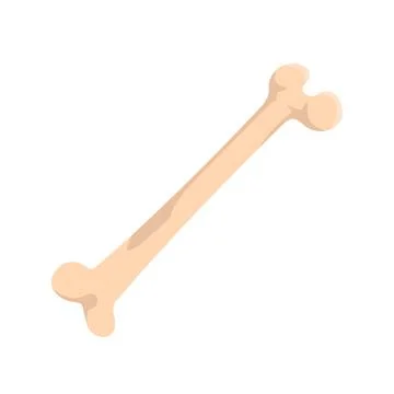 Human bone icon, flat style Stock Illustration