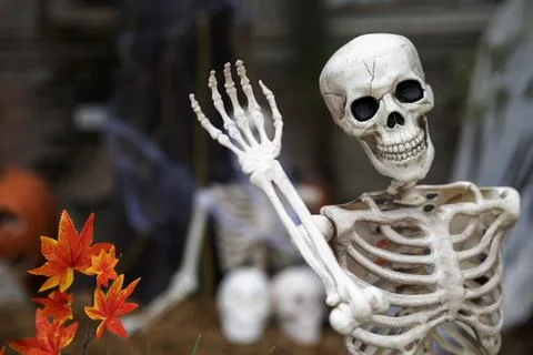 Human Bone Idea with Halloween Pumpkin Stock Photos