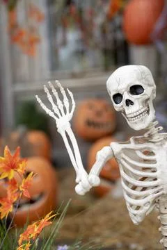 Human Bone Idea with Halloween Pumpkin Stock Photos