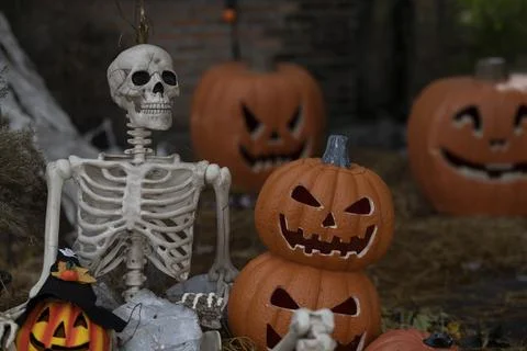 Human Bone Idea with Halloween Pumpkin Stock Photos