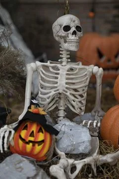 Human Bone Idea with Halloween Pumpkin Stock Photos
