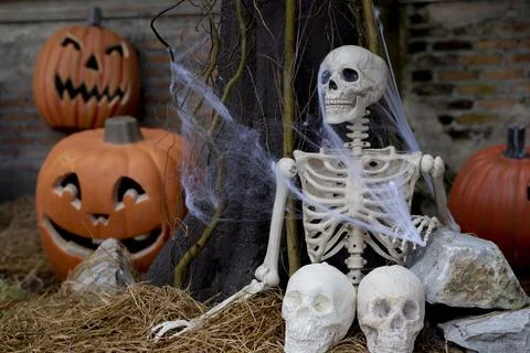 Human Bone Idea with Halloween Pumpkin Stock Photos