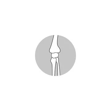 Human Bone Joint vector icon illustration Illustrazione stock