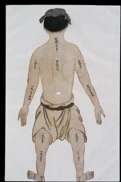 Human bone measurements, back view, C17/18 Chinese book art Stock Illustration
