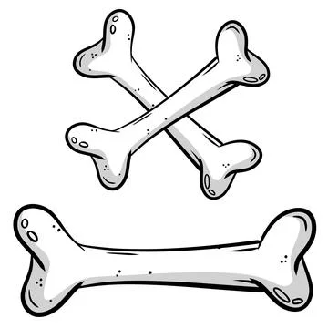 Human bone. Set of skeleton Elements. Cartoon sketch illustration Illustrazione stock