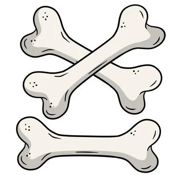 Human bone. Set of skeleton Elements. Dog toy Stock Illustration
