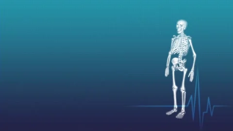 Human Bones and Electrocardiograms Stock Footage 332818050