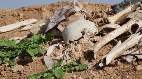 Human bones and remains laying on the ground at a ISIS mass grave in Iraq Stock Footage 63055850