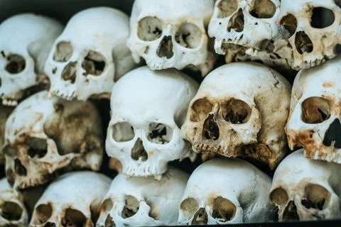 Human bones and skulls. Row of skulls. Skulls collection in catacombs. Symbol of Stock Photos