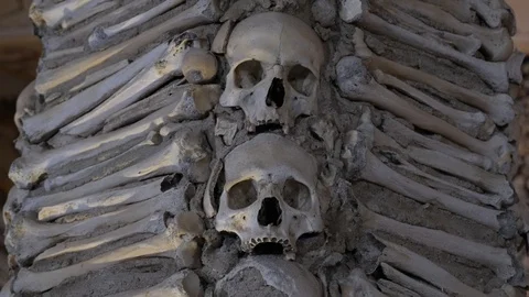 Human Bones And Skulls In Wall Tilt Up Stock Footage 92839653