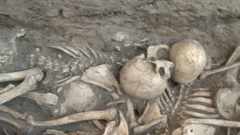 Human bones in archaeological excavations Stock Footage 93712234