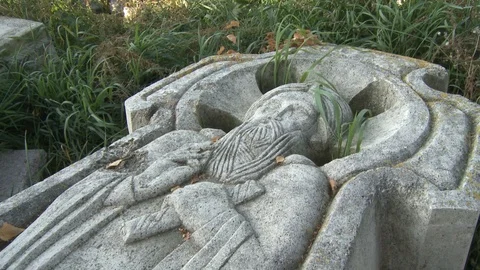 Human bones in archaeological excavations Stock Footage 93712295