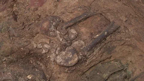 Human bones in archaeological excavations Stock Footage 93712390