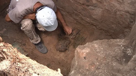 Human bones in archaeological excavations Stock Footage 93712453
