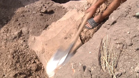Human bones in archaeological excavations Stock Footage 93736245