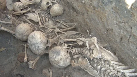 Human bones in archaeological excavations Stock Footage