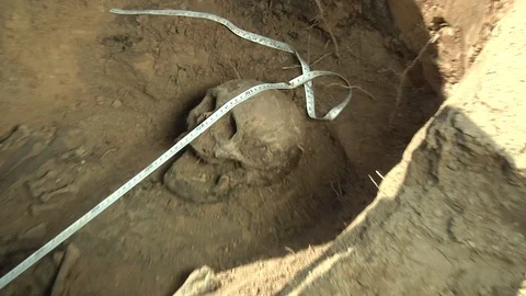 Human bones in archaeological excavations Stock Footage 93736456