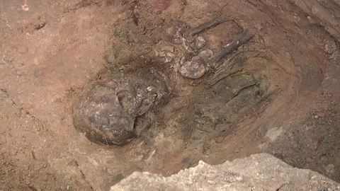 Human bones in archaeological excavations Stock Footage 93736491