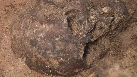 Human bones in archaeological excavations Stock Footage 93736499