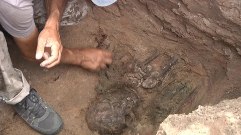 Human bones in archaeological excavations Stock Footage 93736530
