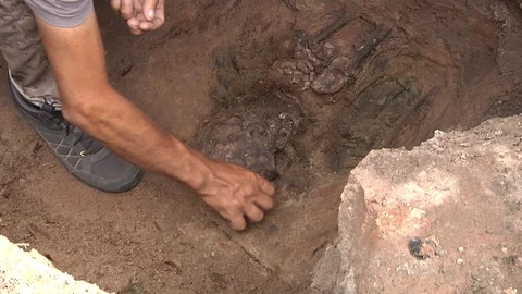 Human bones in archaeological excavations Stock Footage 93736585