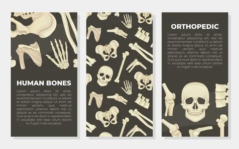 Human bones cards set. Orthopedics, traumatology and rheumatology medical Stock Illustration