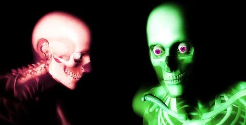 Human Bones Stock Illustration