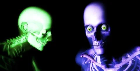 Human Bones Stock Illustration