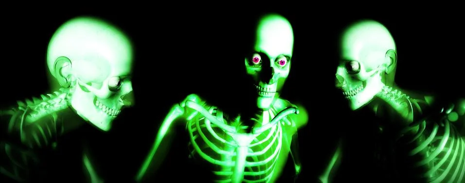 Human Bones Illustrazione stock