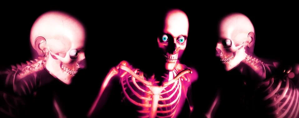 Human Bones Stock Illustration