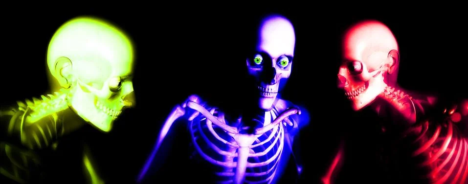 Human Bones Stock Illustration