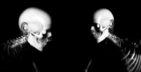 Human Bones Stock Illustration