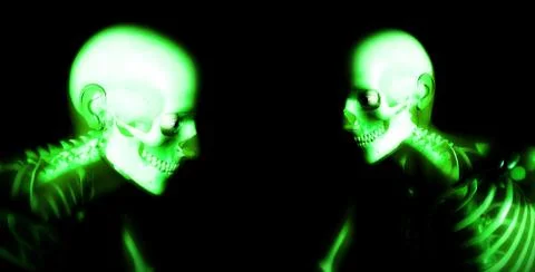 Human Bones Stock Illustration