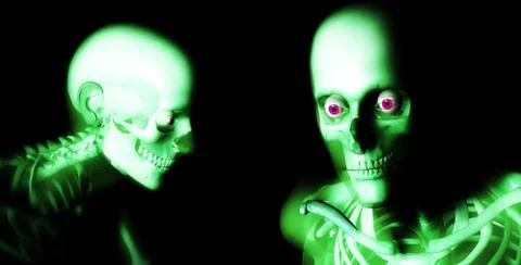 Human Bones Stock Illustration