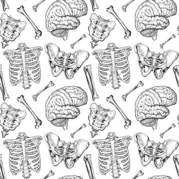 Human bones pattern 库存插图