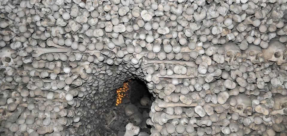 Human bones Stock Photos