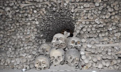 Human bones Stock Photos