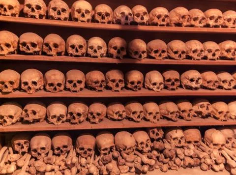 Human bones Stock Photos