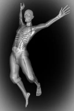 Human bones radiography scan image イラスト素材