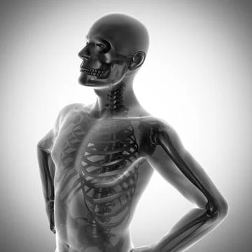 Human bones radiography scan image Stock Illustration