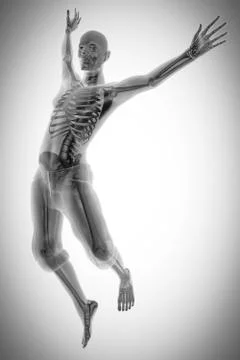 Human bones radiography scan image イラスト素材