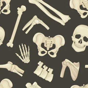 Human bones seamless pattern. Orthopedics, traumatology and rheumatology medical Stock Illustration