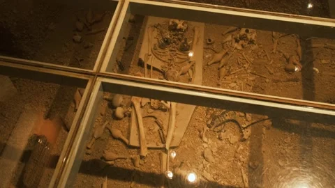 Human bones in showcase Stock Footage 168821370