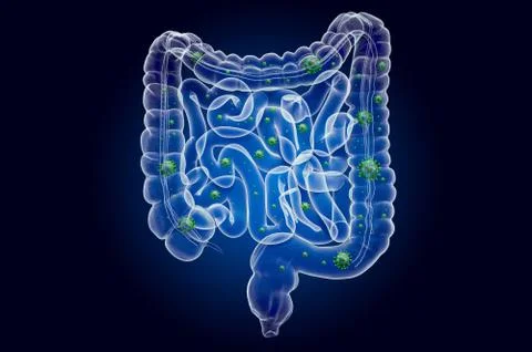 Human bowel with virus, ghost light effect, x-ray hologram. 3D rendering 库存插图