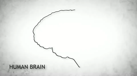 Human Brain 05 Stock Footage 11700444