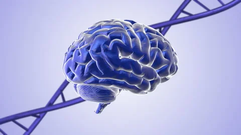Human brain 3d-medical background with dna Stock Footage 185928455