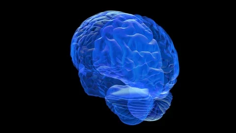 Human brain 3D render Stock Footage 92400432