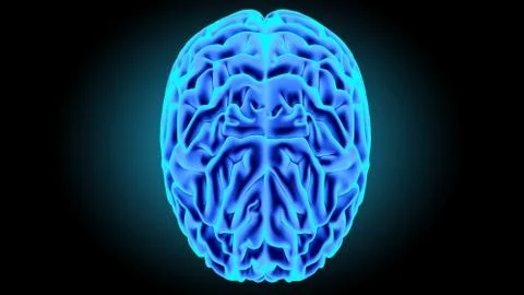 Human brain 3D render Stock Illustration