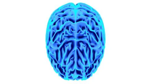 Human brain 3D render Stock Illustration